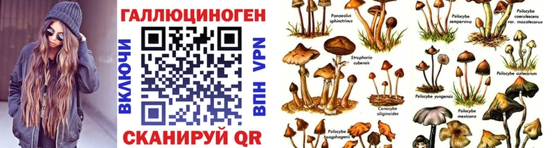 Псилоцибиновые грибы MAGIC MUSHROOMS  Ярцево 