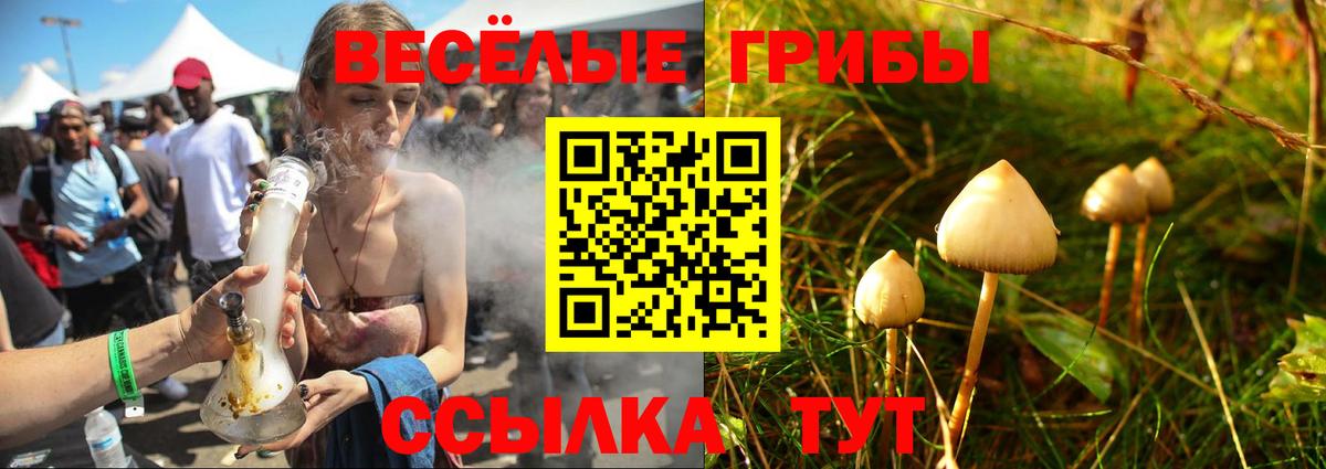 Галлюциногенные грибы ЛСД  Галлюциногенные грибы GOLDEN TEACHER  Ярцево  Вход с VPN 