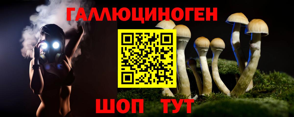 Галлюциногенные грибы Psilocybine cubensis Ярцево